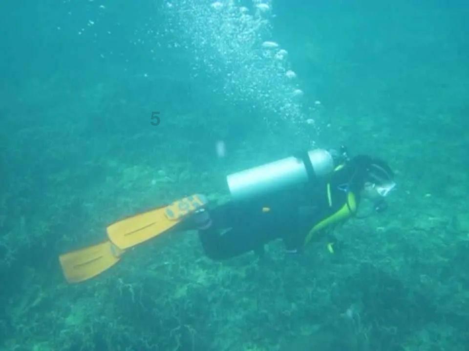 hahabetcom官网星辰大海